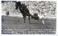 Jonnie Schneider thrown from "Chili Bean" Tex Austin Rodeo Chicago