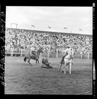Ted Barnhouse - Don Chase Team Roping