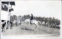 Unidentified rodeo clown in sailor uniform riding saddle bronc