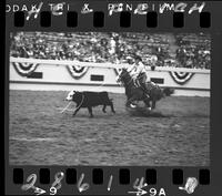 Olin Young Calf Roping