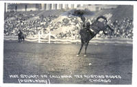 Mike Stuart on "Chili Bean" Tex Austins Rodeo Chicago