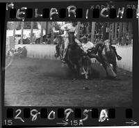 Ralph McRae Steer Wrestling