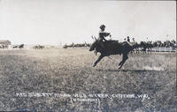 Red Sublett riding Wild Steer, Cheyenne, Wyoming.