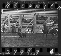 John Rose Calf Roping