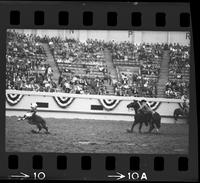 Mark Schricker Calf Roping