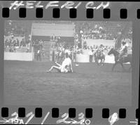 Max Mortenson Steer Wrestle