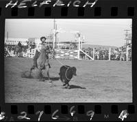 Ken Luman Calf Roping