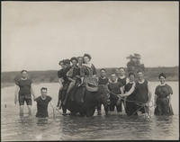 [7 women and 6 men with a water buffalo standing in a lake]