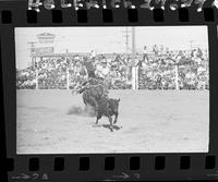 Gene Ray Ward  Calf Roping