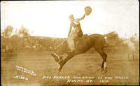Red Parker Champion of the World, Round-up, 1914, No. 38-B