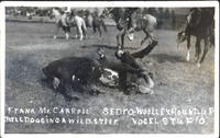 Frank McCarroll bulldogging a Wild Steer, Sedro Woolley Round-up