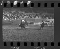 Pete English - Lefty Wilken Team Roping