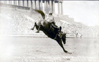 Carl Tucker on "Doubleday" Tex Austin Rodeo Chicago 1928