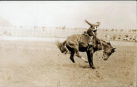 Bonnie McCarroll riding a saddle bronc