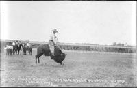 Clyde Jones riding buffalo, Belle Fourche, So. Dak, 1925