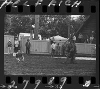 Clark Maddox Calf Roping