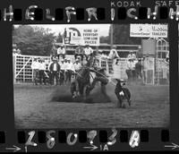 Clark Maddox Calf Roping