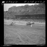 Chariot races