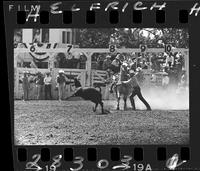 Lee Cockrell Calf Roping