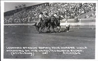 Leonard Stroud Roping Four Horses While Standing on His Head, Tex Austin Rodeo, Chicago, 1928