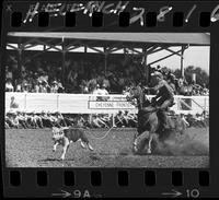 Bud Hutto Calf Roping