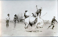 Unidentified cowboy saddle bronc riding