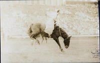 Unidentified cowgirl saddle bronc riding