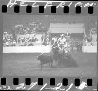 Norman Goosen Calf Roping