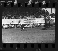 Gary Warburton Calf Roping