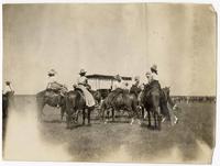 "Tenderfeet" [9 men and women on horseback and in wagon with cattle in background]...