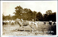 Bonnie McCarroll Trick Riding. American Legion 3rd Annual Round-up, Sand Springs, OK. June, 2-3-4, 1922