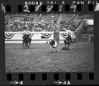 Bill Hamilton - Dale Smith Team Roping