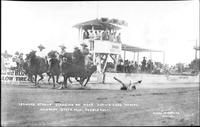 Leonard Stroud Standing on Head roping four horses, Colorado State Fair, Pueblo, Colo