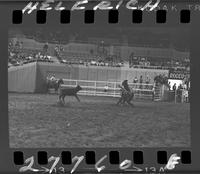 Tater Decker Calf Roping