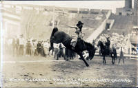 Bonnie McCarroll Riding Tex Austin Rodeo, Chicago