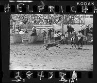 Kenny McLean Calf Roping