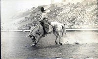 Bonnie McCarroll riding a saddle bronc