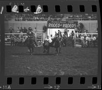 Bob Thalheimer Steer Wrestling