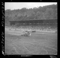 Chariot races