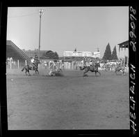 George Anderson - Miller Anderson Team Roping