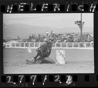 Gail Higgins Barrel Racing