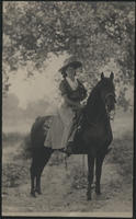 [Woman on black horse under a tree]