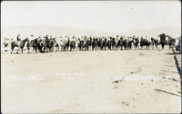 Roll Call Boise Stampede 1913 #287