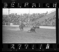 Billy Darnell Calf Roping