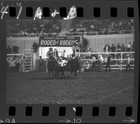 Allen Keller Steer Wrestling