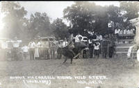 Bonnie McCarroll Riding Wild Steer, Ada, Okla.