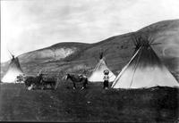 Chief Joseph, Nez Perce