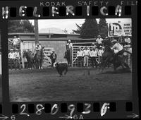 Don McBride Calf Roping