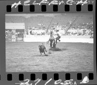 Terry Reiter Calf Roping