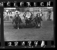 Don Drake Steer Wrestling